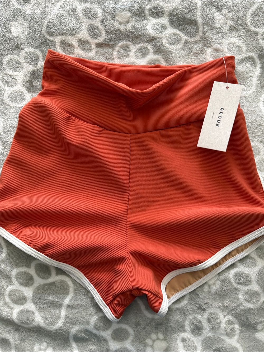 Geode High-Waist Ribbed Shorts in Terracotta Orange